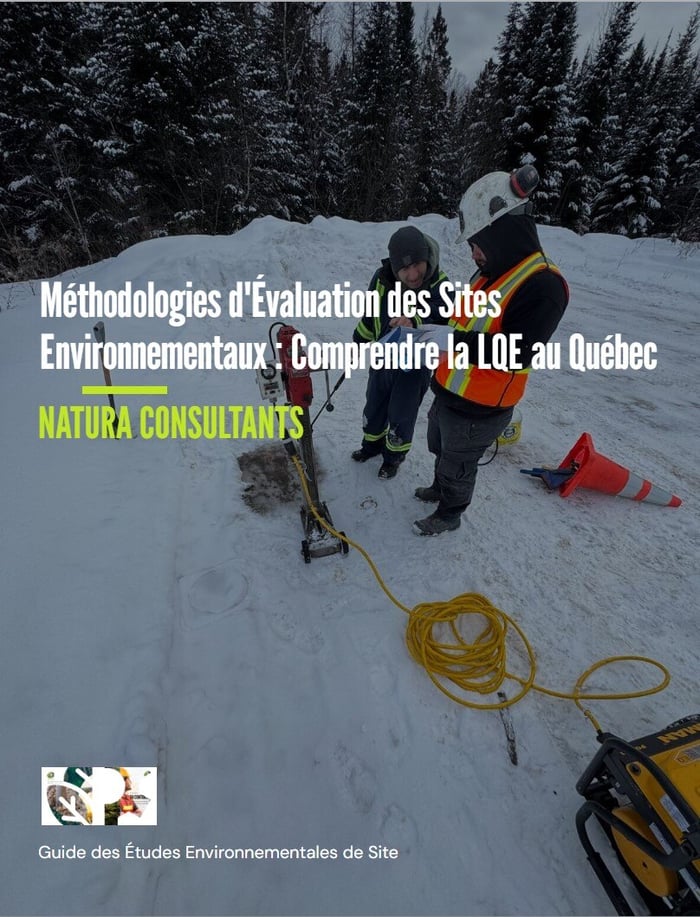 Étude et Rapport Phase II image