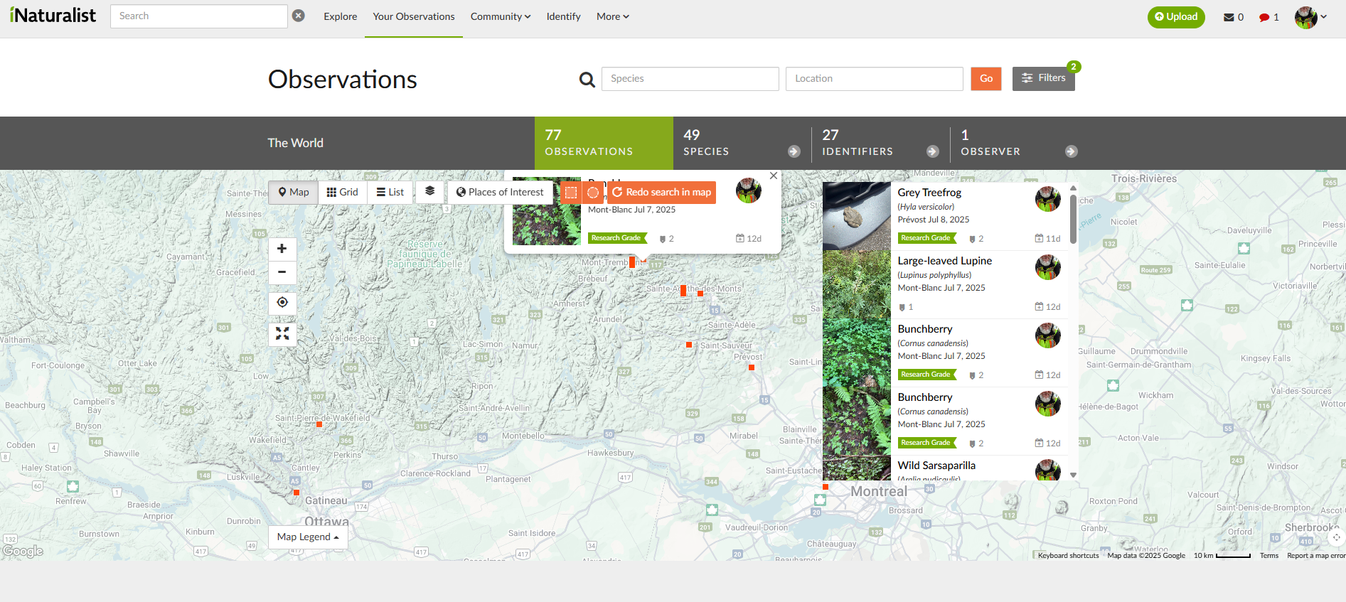 Screenshot 2025-07-19 090325