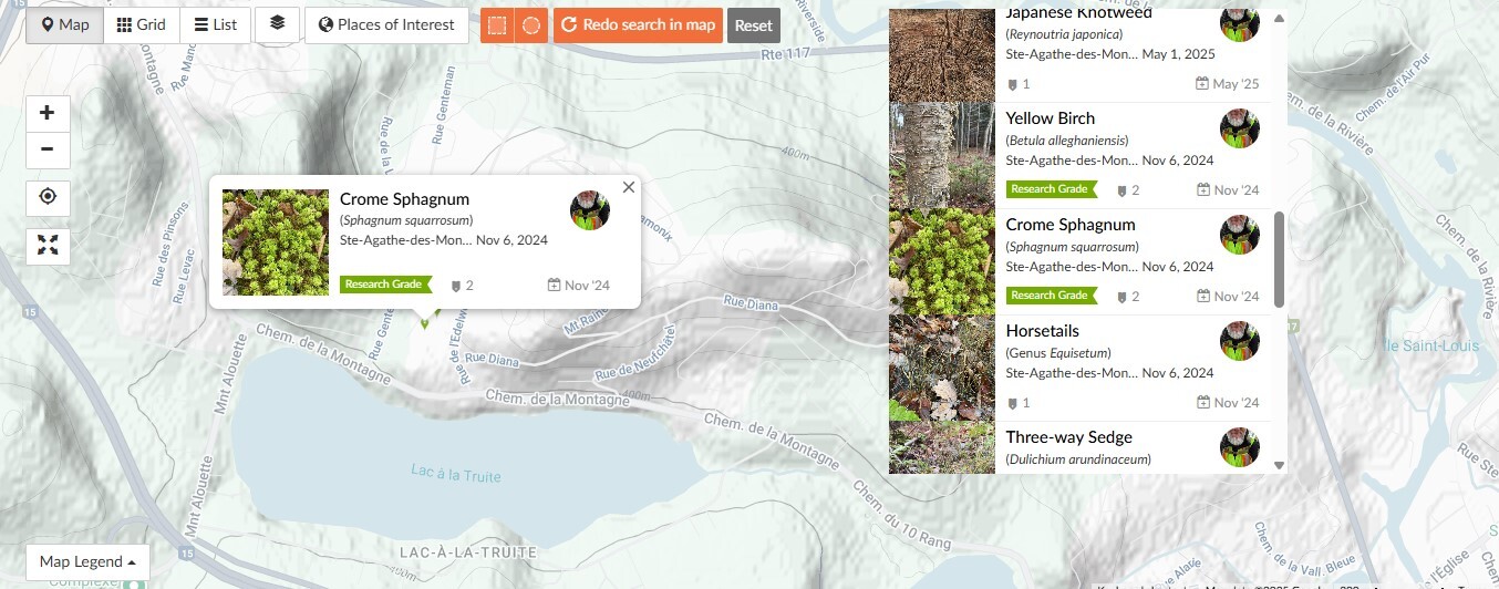 Screenshot 2025-09-11 092503